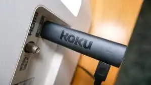 roku streaming stick 4k 1