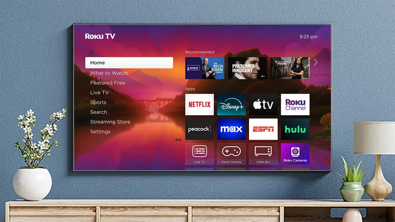 roku tv streaming
